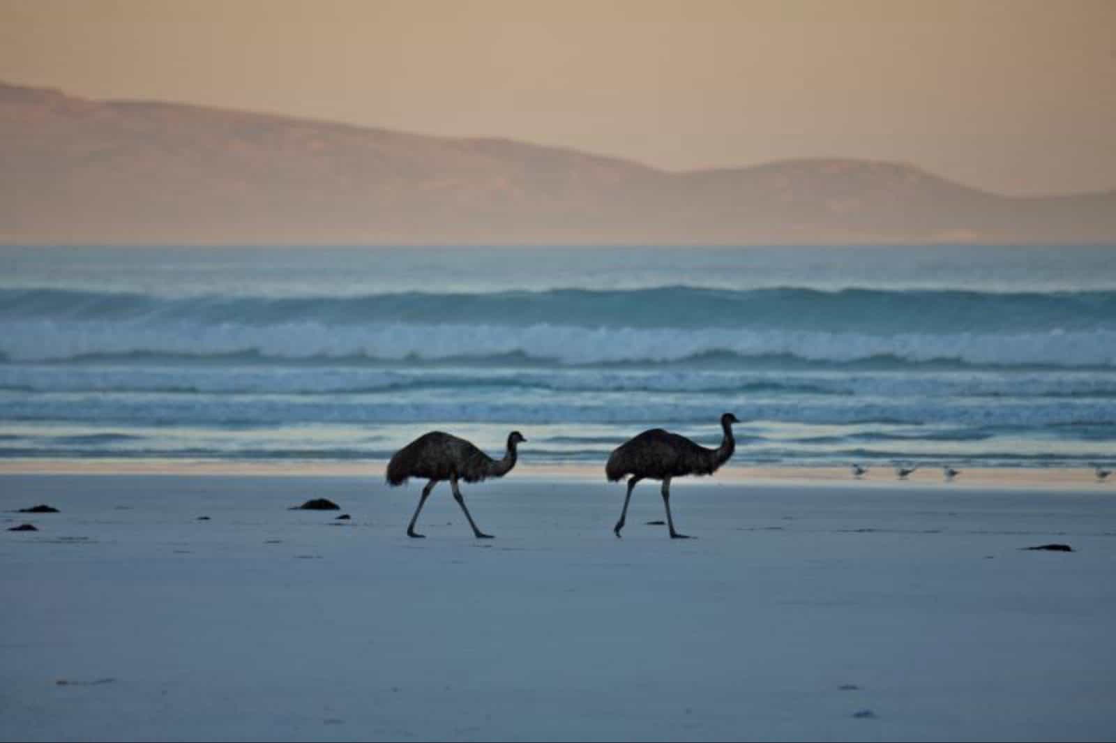 Cape Arid National Park, Western Australia