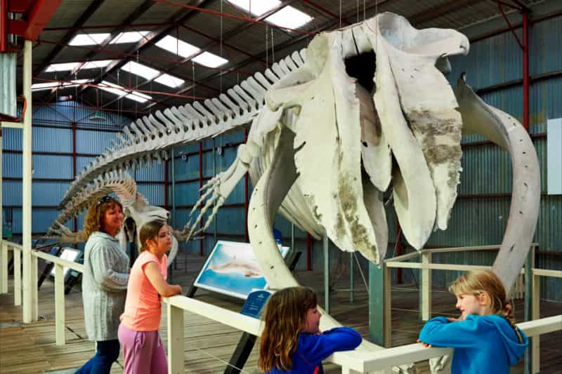 Albany's Historic Whaling Station, Torndirrup, Western Australia