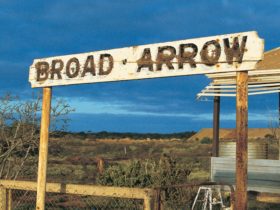 Broad Arrow, Kanowna, Western Australia