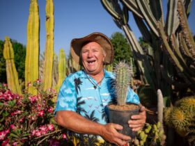 Rob Westcott, Owner Cactus Garden Carnarvon, Australia's Coral Coast, Carnarvon, Western Australia