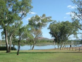 Celebrity Tree Park, Kununurra, Western Australia