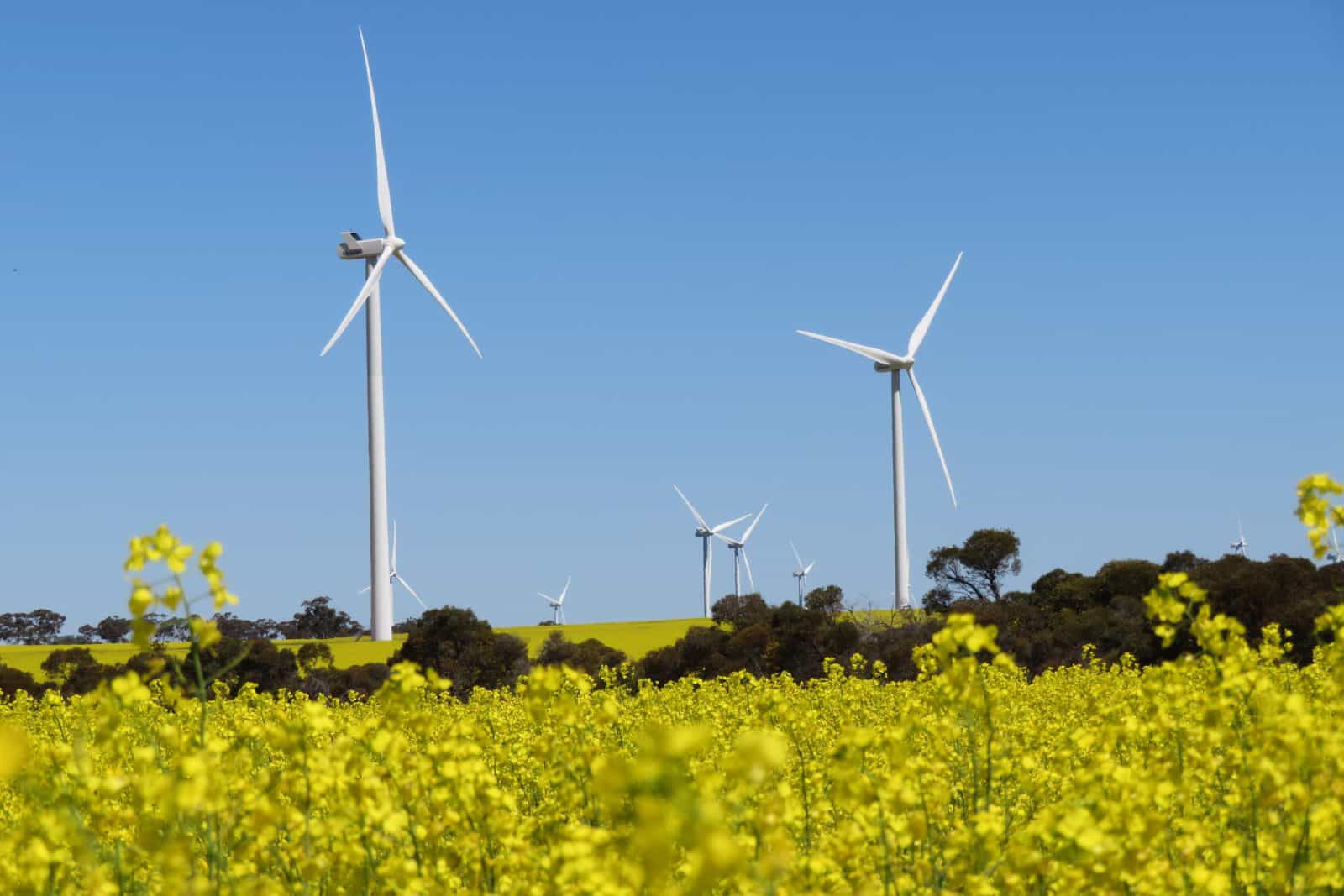 Collgar Wind Farm, Merredin, Western Australia