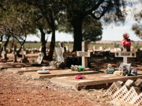 Corrigin Dog Cemetery, Corrigin, Western Australia