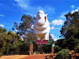 Giant Ram Tourist Park, Wagin, Western Australia