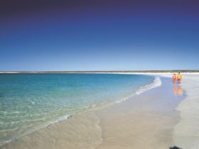 Gnaraloo Bay, Carnarvon, Western Australia