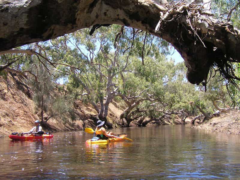 Greenough River Nature Trail, Greenough, Western Australia