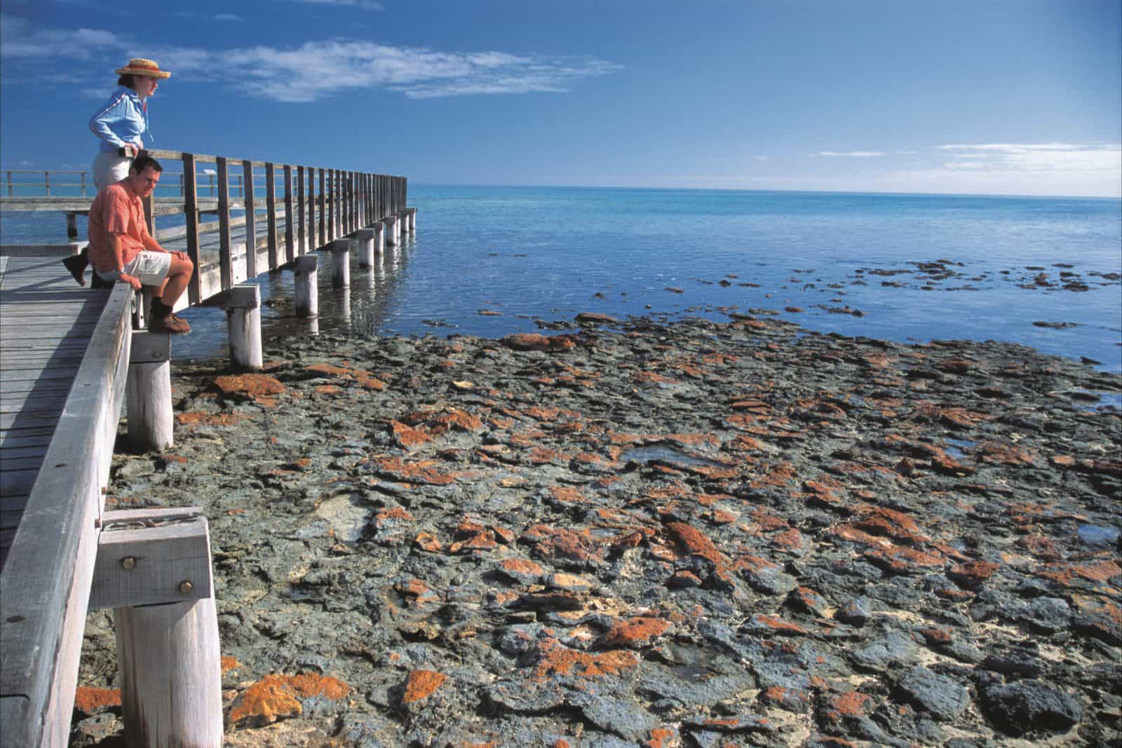 Hamelin Pool Stromatolites, Hamelin Pool, Western Australia