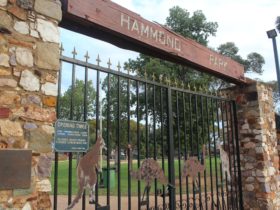 Hammond Park, Lamington, Western Australia