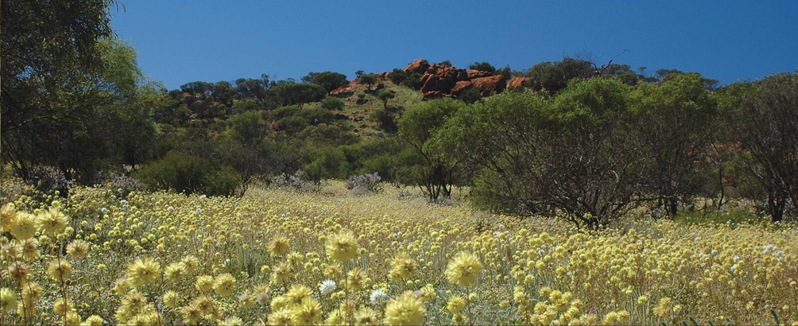 Koolanooka Springs, Morawa, Western Australia