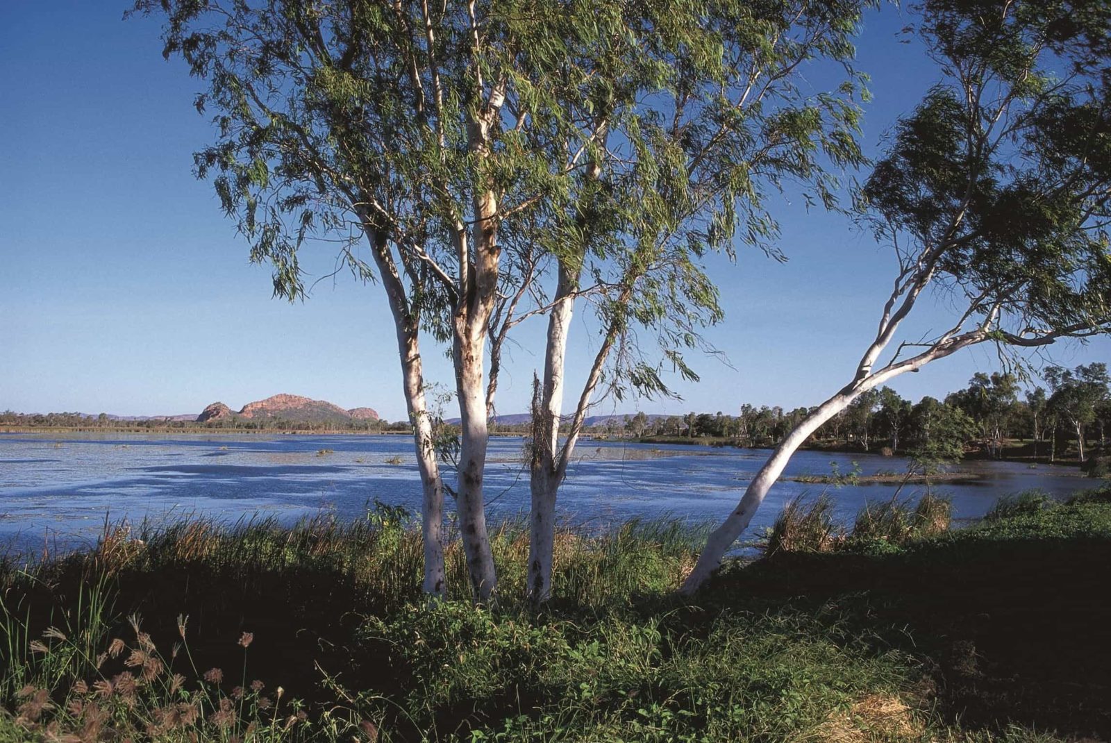 Lake Kununurra