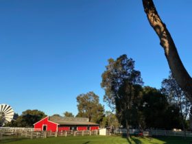 Landsdale Farm, Landsdale, Western Australia