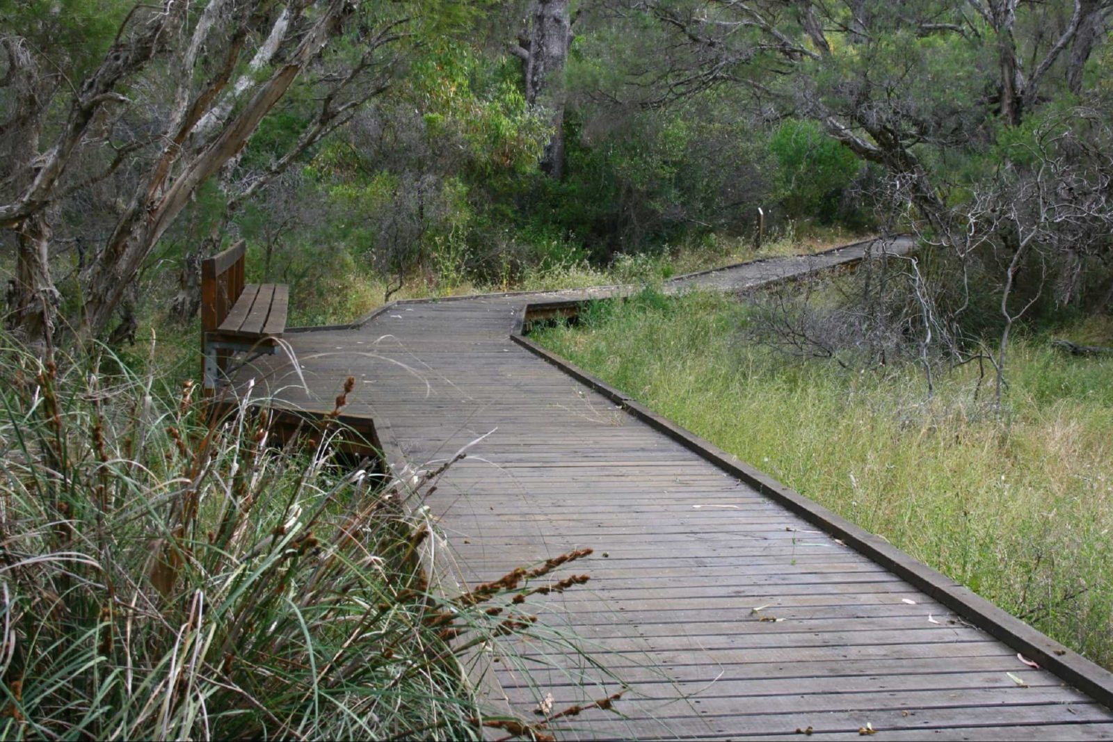 Leschenault Peninsula Conservation Park, Australind, Western Australia