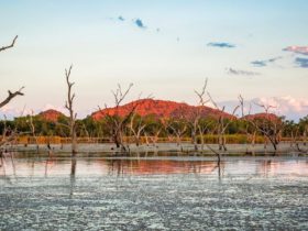Lily Creek Lagoon, Kununurra, Western Australia