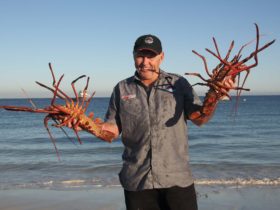 Lobster Shack, Cervantes, Western Australia