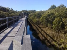 Mangrove Boardwalk, Bunbury, Western Australia