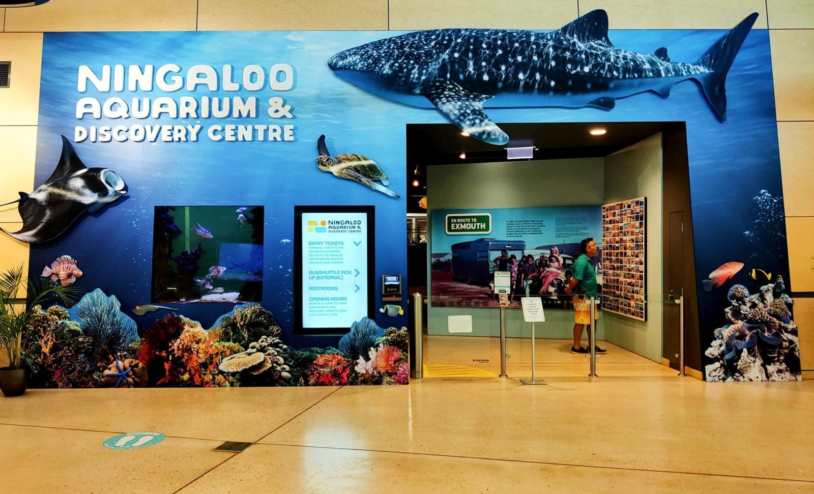 Ningaloo Aquarium & Discovery Centre, Exmouth, Western Australia
