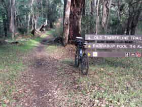 Old Timberline and Sidings Rail Trails, Nannup, Western Australia