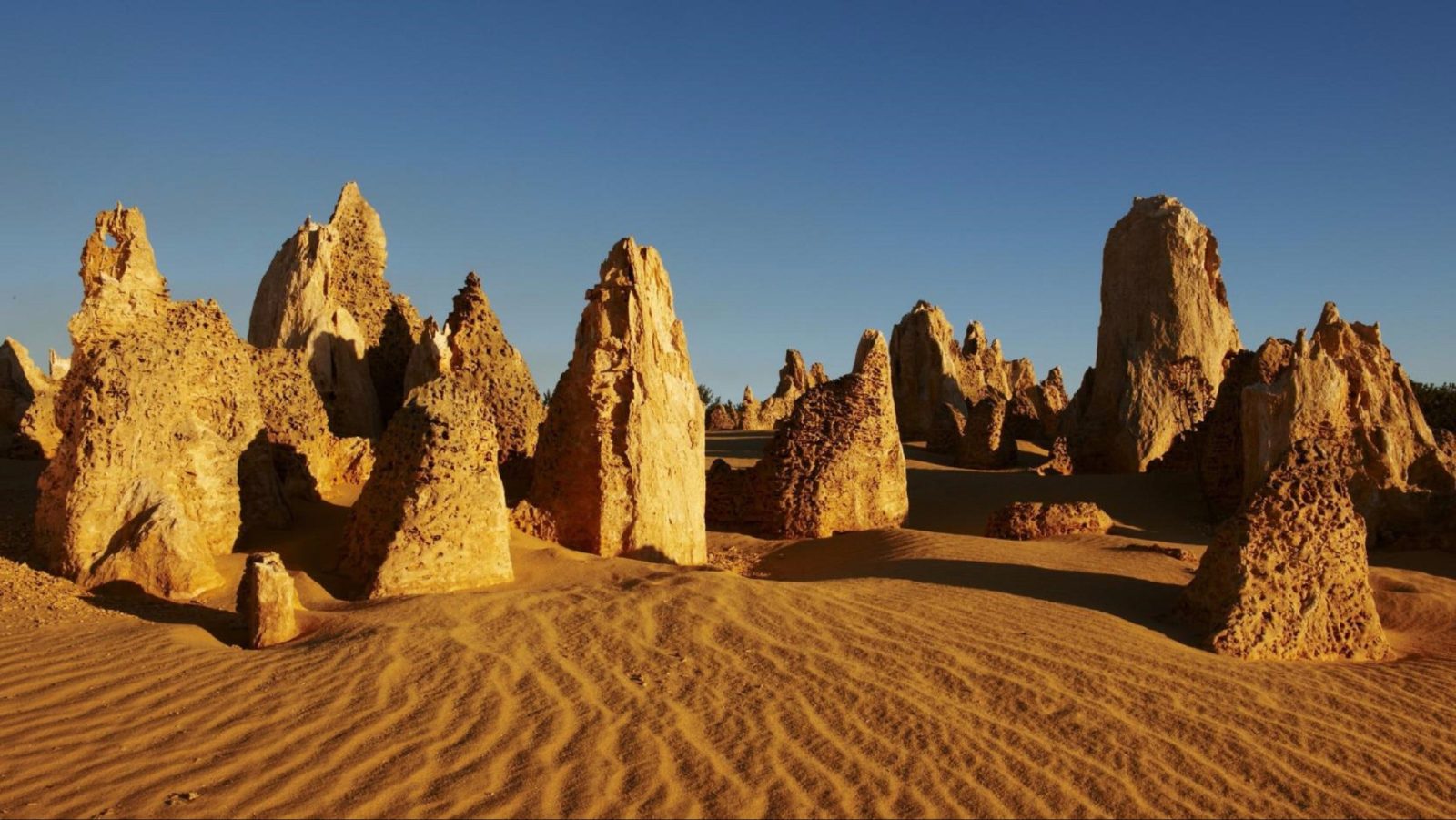 Pinnacles Desert Discovery Centre, Nambung National Park, Western Australia