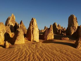 Pinnacles Desert Discovery Centre, Nambung National Park, Western Australia