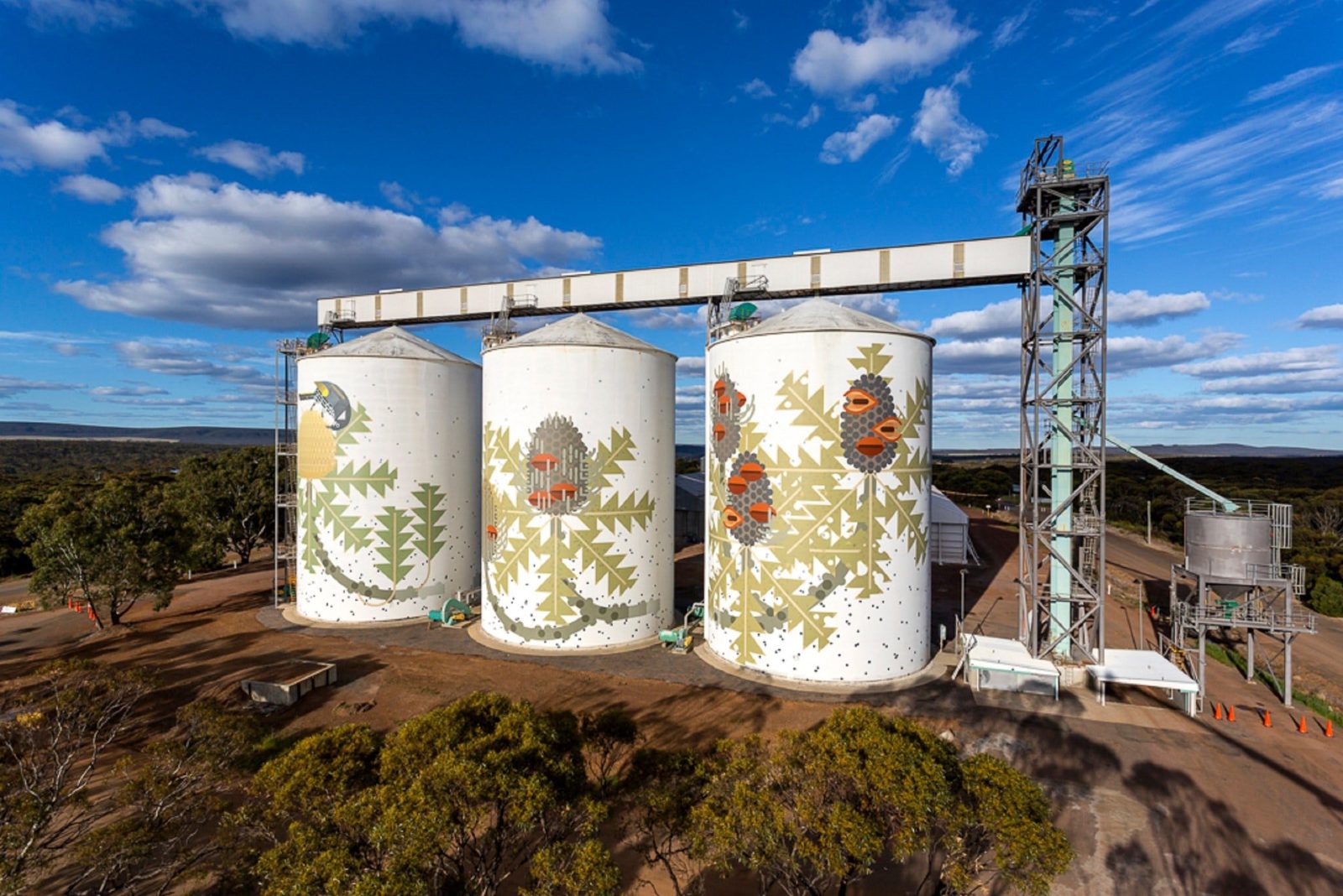Ravensthorpe's Painted Grain Silos, Western Australia
