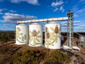 Ravensthorpe's Painted Grain Silos, Western Australia