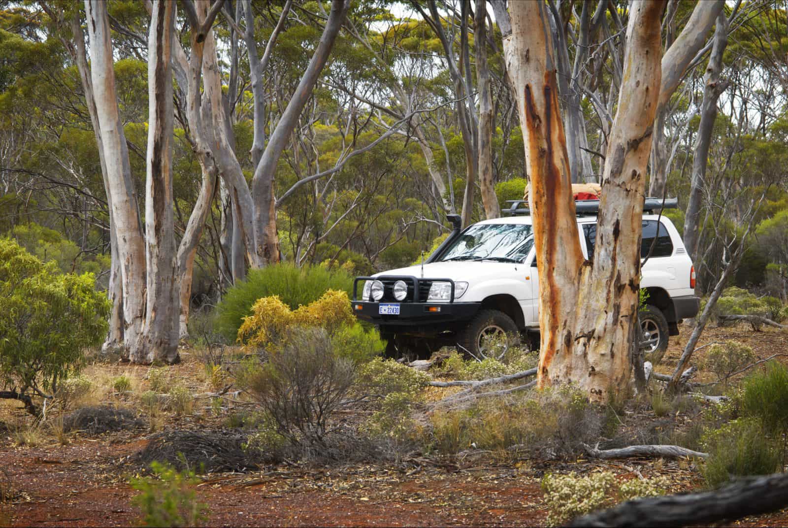 Ravensthorpe Range, Ravensthorpe, Western Australia