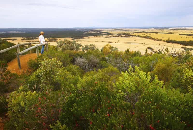 Ravensthorpe Range, Ravensthorpe, Western Australia
