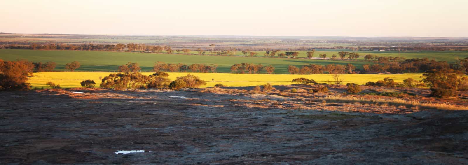 Roe Lookout, Narembeen, Western Australia