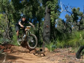 Scorpion Trail, Kalamunda Mountain Bike Trails, Paulls Valley, Western Australia