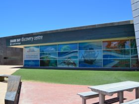 Shark Bay Discovery & Visitor Centre