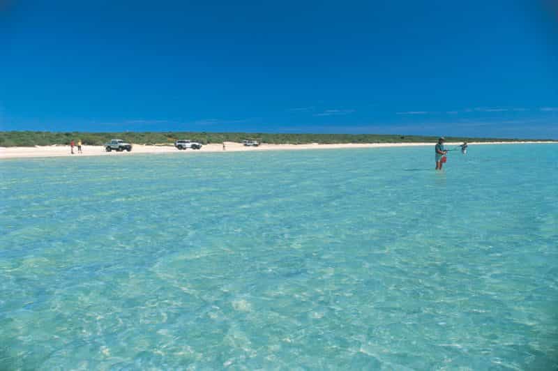 Shark Bay World Heritage Drive, Hamelin Pool, Western Australia