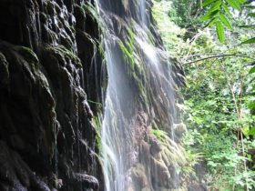Dales Waterfall
