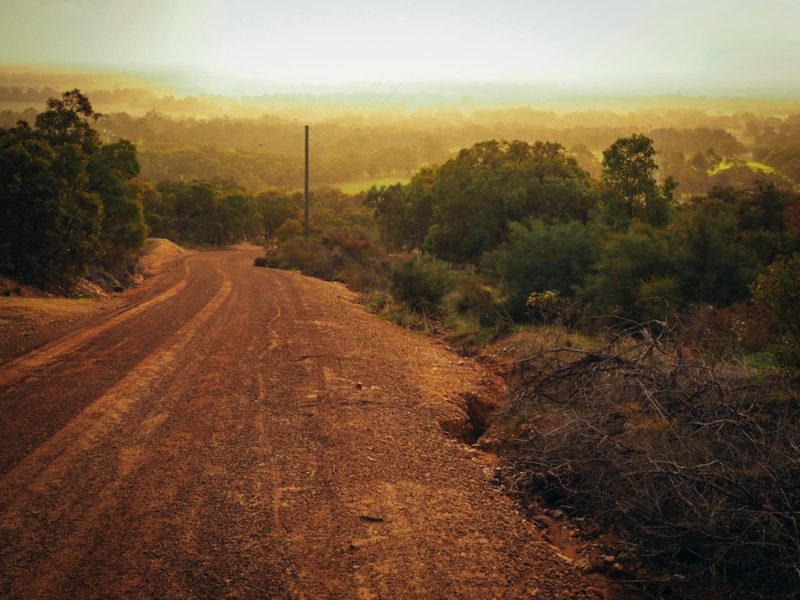 The Munda Biddi Trail, Mundaring, Western Australia