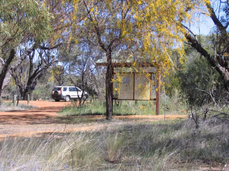 Totadgin Conservation Park, Southern Cross, Western Australia
