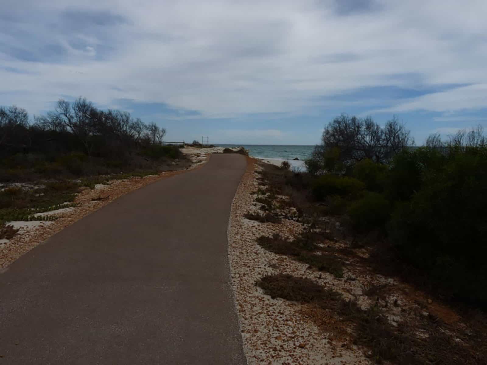 Trail at Island Point