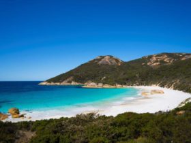 Two Peoples Bay Nature Reserve, Albany, Western Australia
