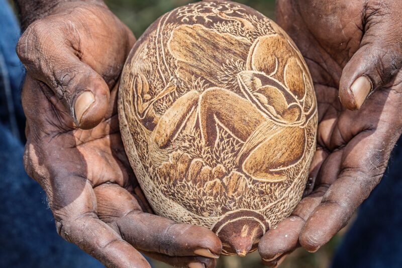 Hand carved Kimberley boab nut