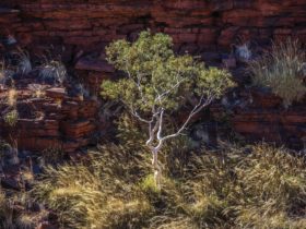 Weano Gorge, Karijini National Park, Western Australia