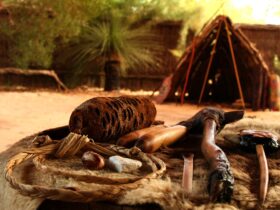 Yanchep National Park - Aboriginal Experience, Yanchep, Western Australia