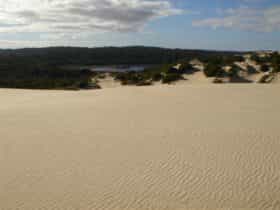 Yeagerup Sand Dunes, Pemberton, Western Australia
