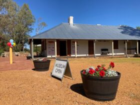 Colonial building with wide verandah , gravel frontage , two large barrel planters with flowers.