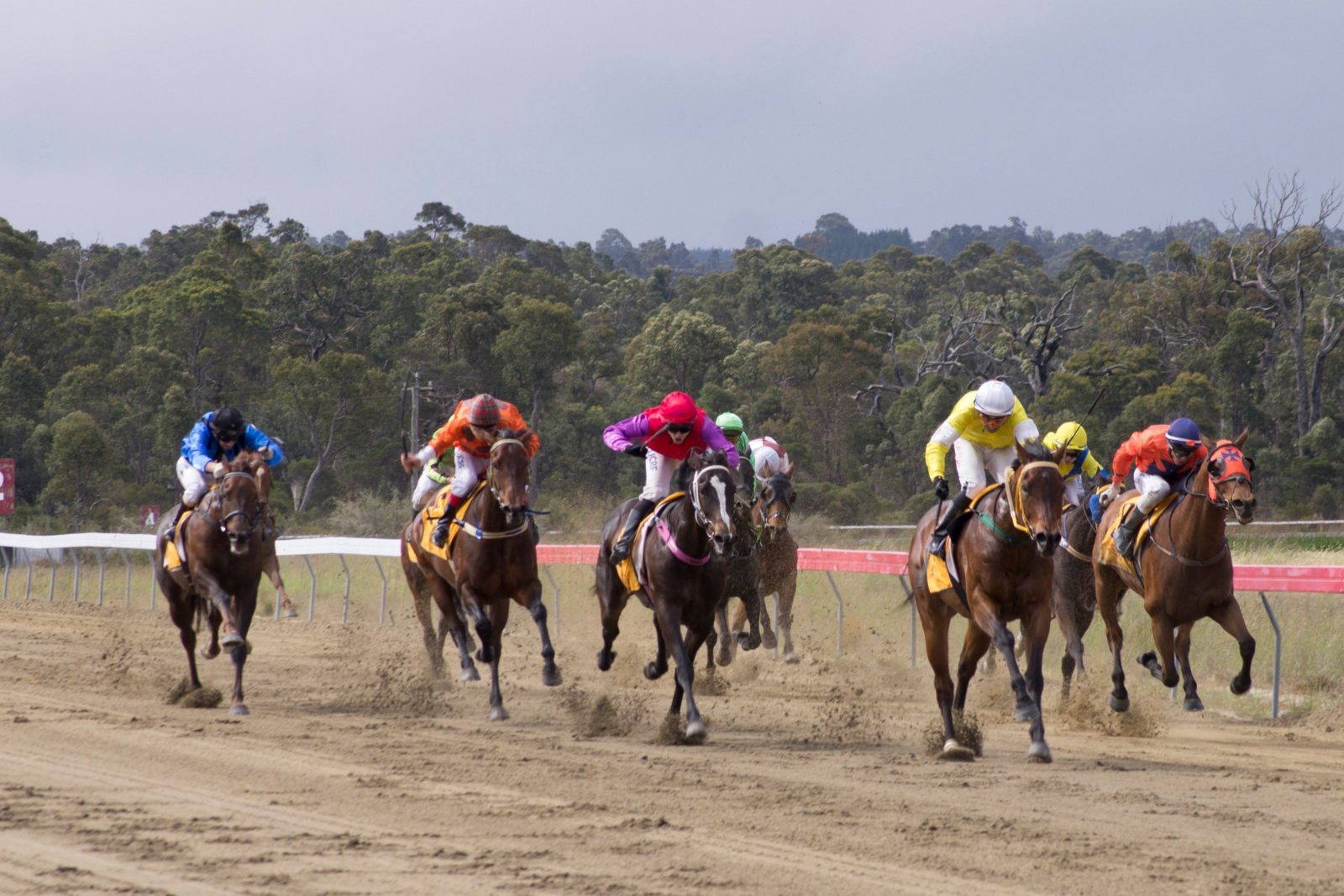 Collie Races, Collie, Western Australia