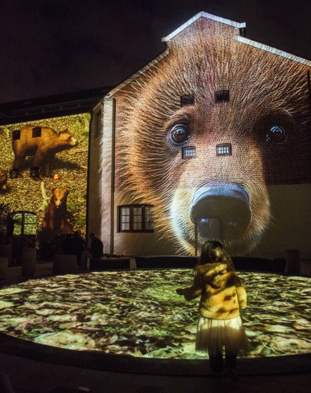 A Marsican Brown Bear projected onto the Old Gaol at Boola Bardip.