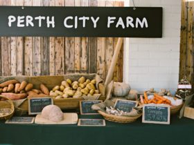 Farmer's Market, East Perth, Western Australia