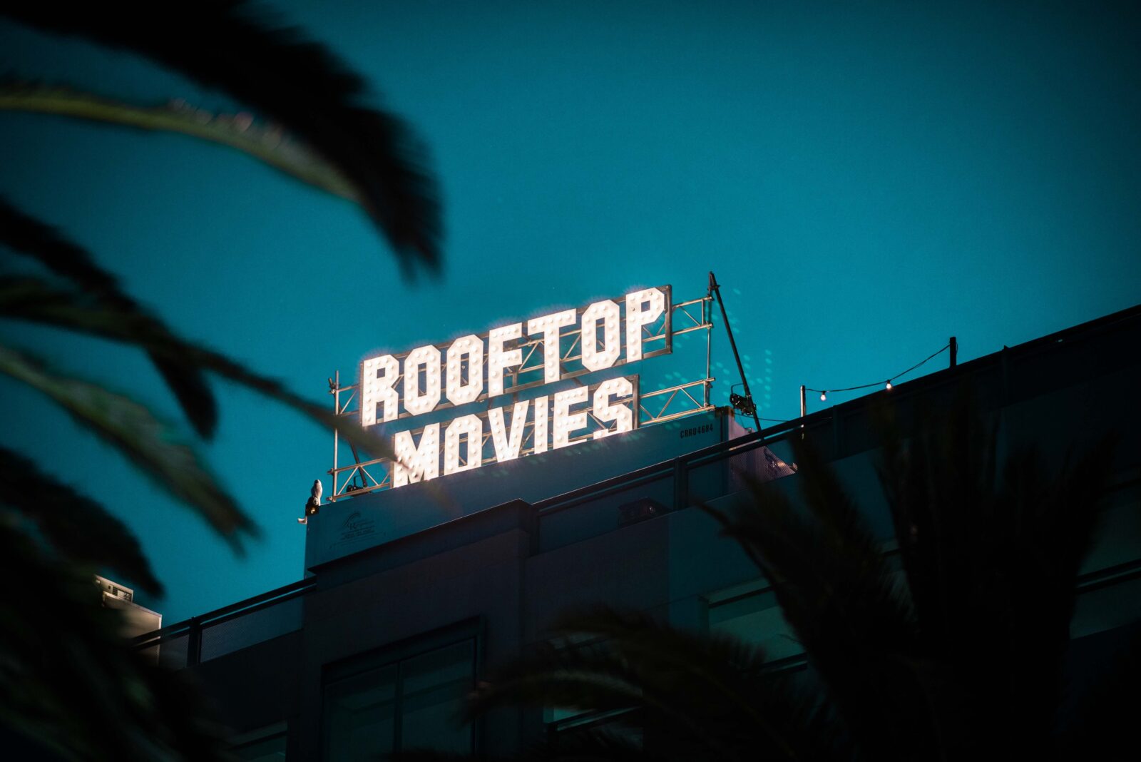 Rooftop Movies