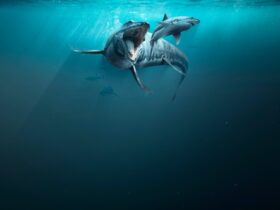 visualisation of a large reptile in the deep ocean with open jaws attack a smaller great white shark
