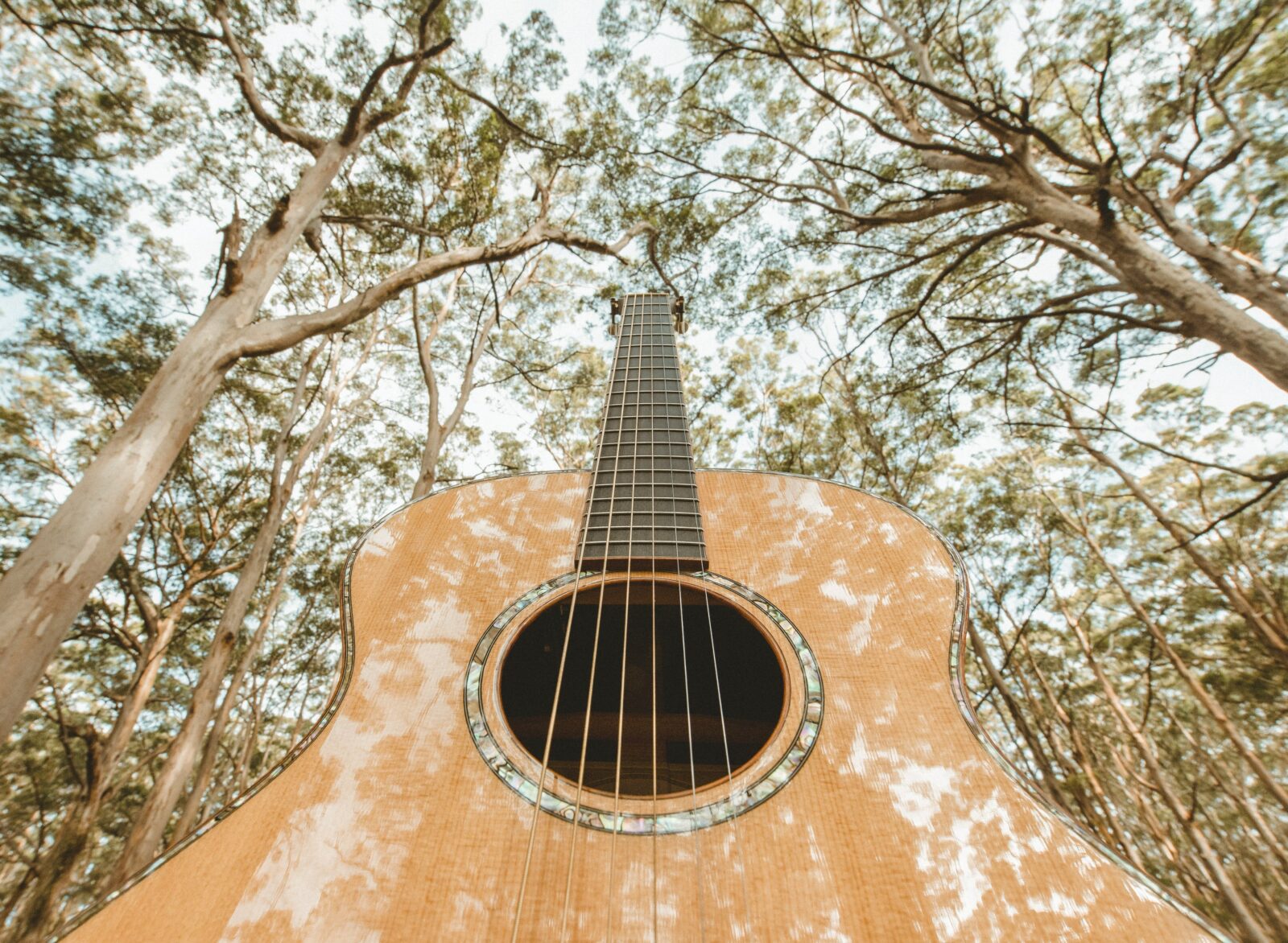 Strings Attached: The West Australian Guitar Festival, Margaret River, Western Australia