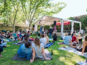 People on picnic rugs enjoy live music outdoors at Fremantle Arts Centre