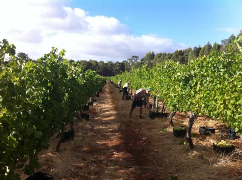 Ashbrook Wines, Wilyabrup, Western Australia