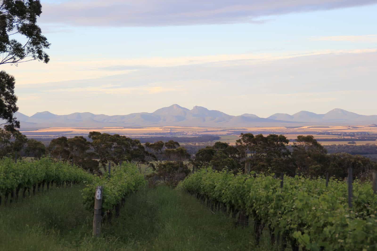 Castle Rock Estate Winery, Porongurup, Western Australia